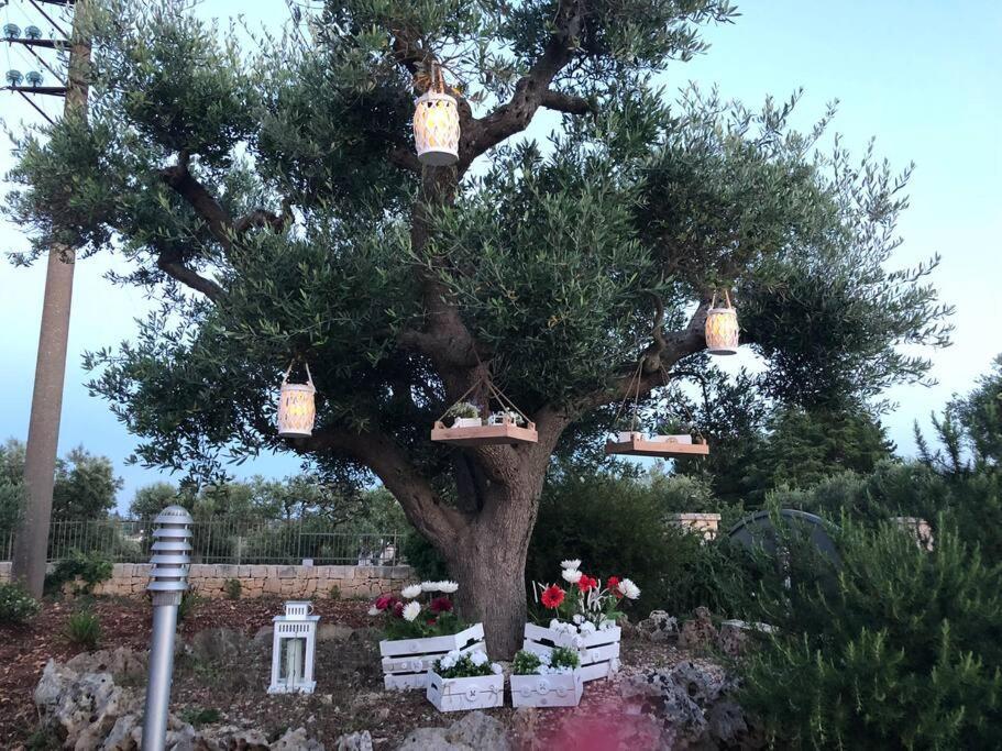 Villa Catia Alberobello Exteriér fotografie